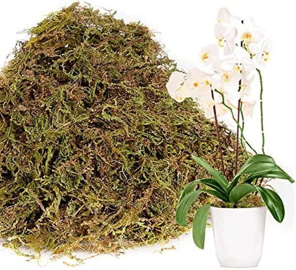 CLSR2U Dried Moss for Plants - 1.5qt/3.5oz Orchids Reptiles Live Moss Terrarium Natural Forest Potting Mix Gardening Soil Moisture Tortoise Hamster Gerbil Cage Bedding